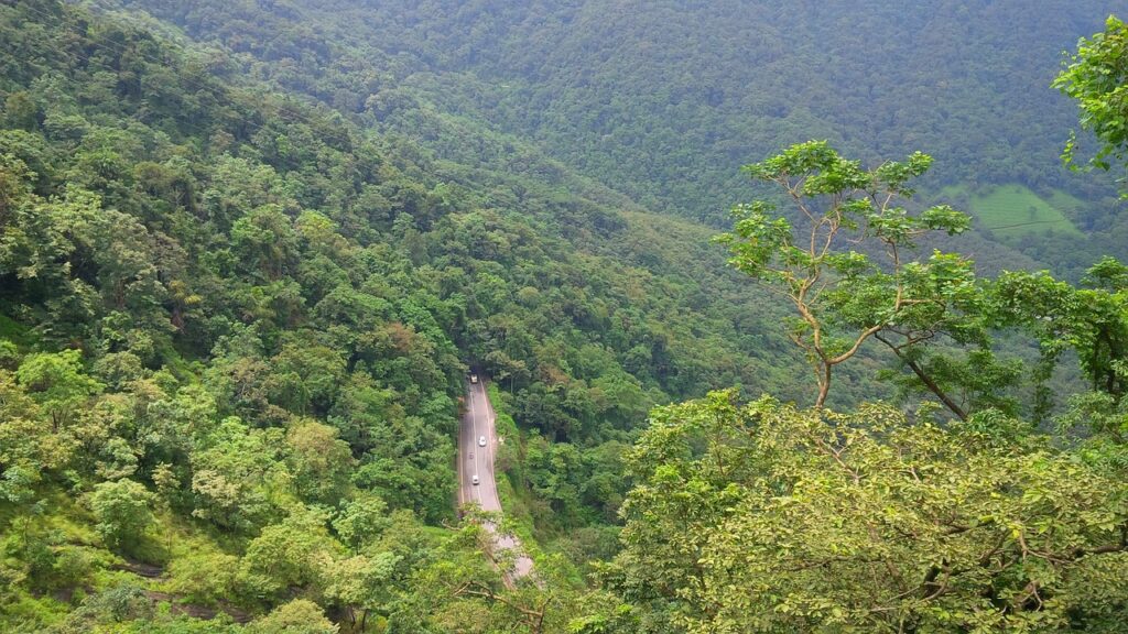 wayanad, nature, green-3590645.jpg