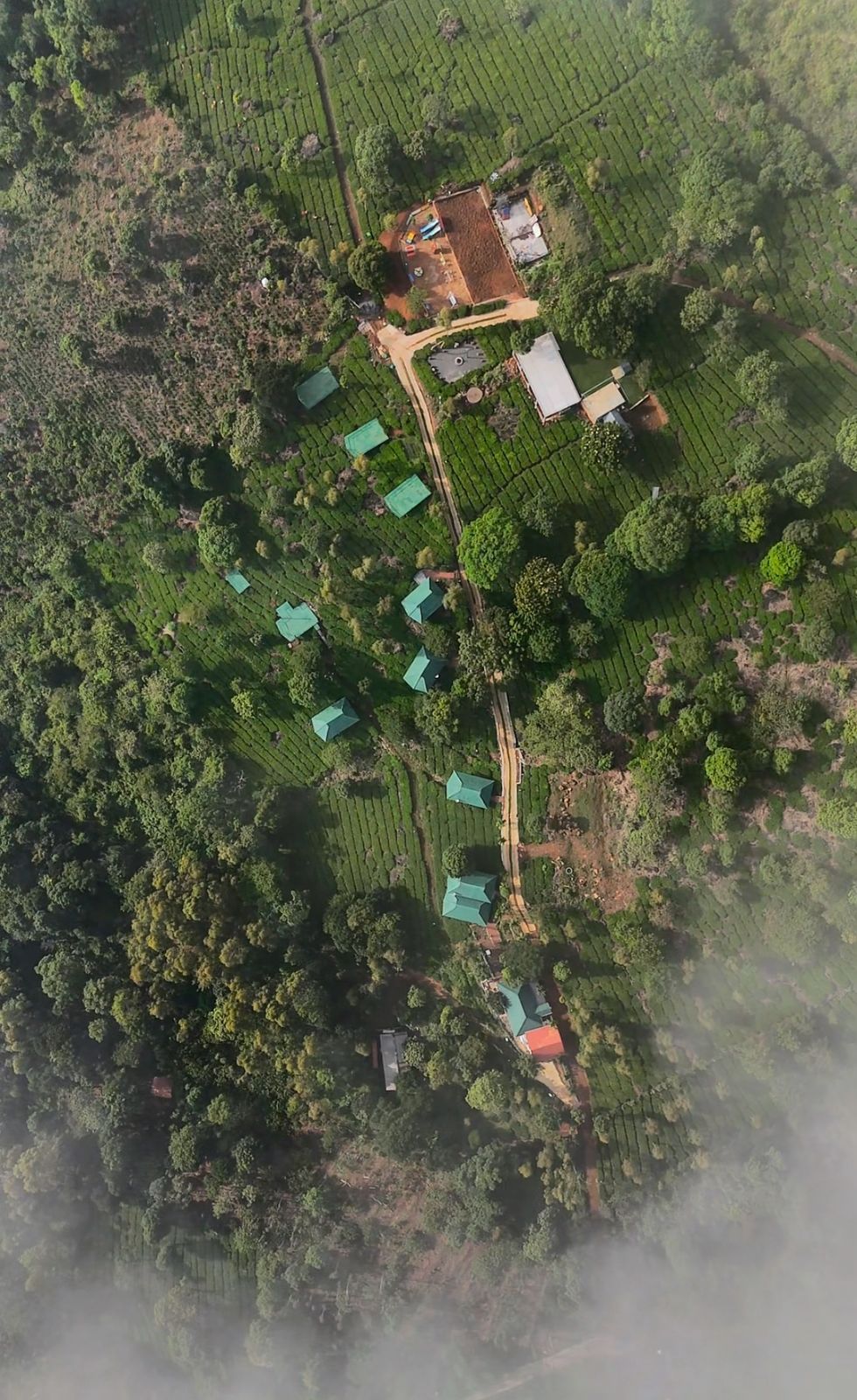 wayanad hotel #67 hill view near muttil, kalpetta (copy) wayanad hotel #67 hill view near muttil, kalpetta (copy)