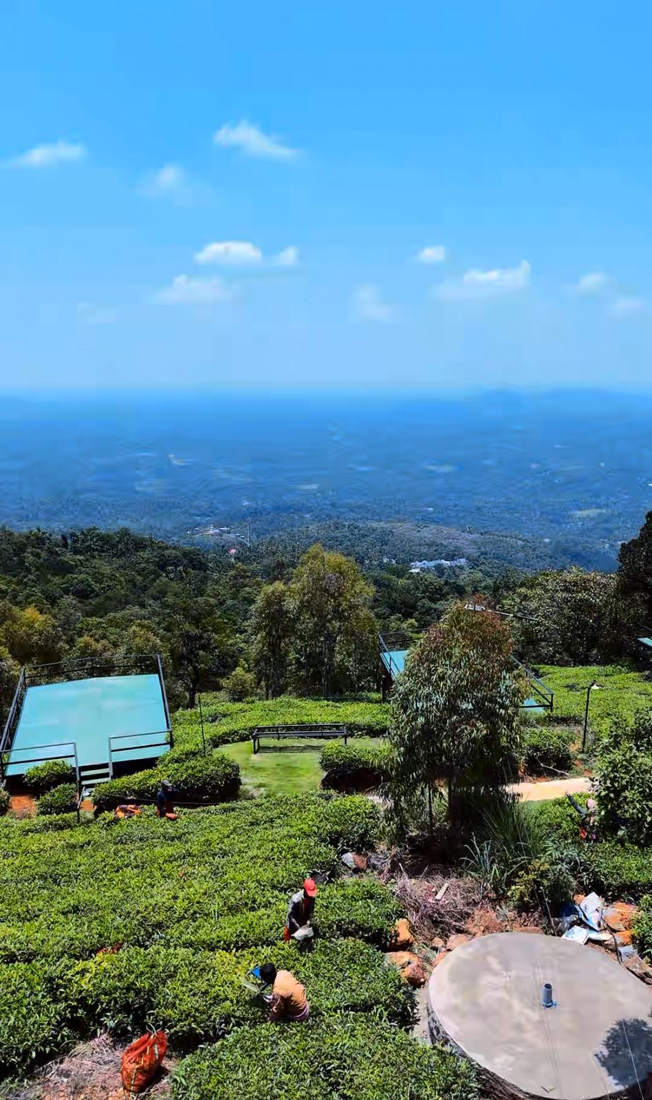 wayanad hotel #67 hill view near muttil, kalpetta (copy) wayanad hotel #67 hill view near muttil, kalpetta (copy)