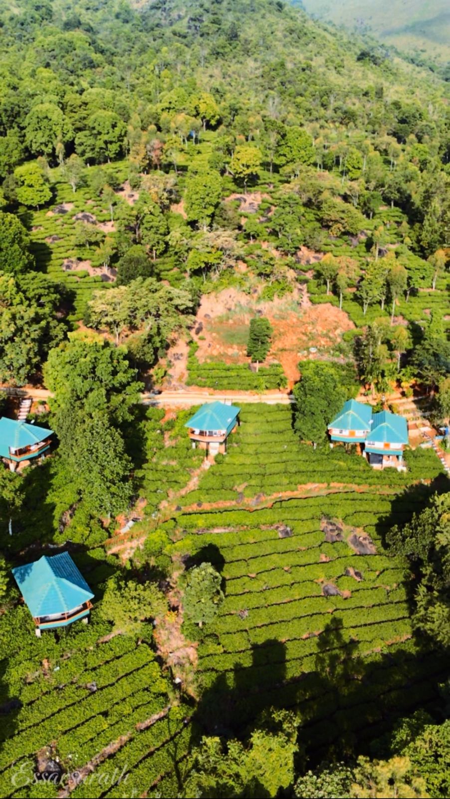 wayanad hotel #67 hill view near muttil, kalpetta (copy) wayanad hotel #67 hill view near muttil, kalpetta (copy)