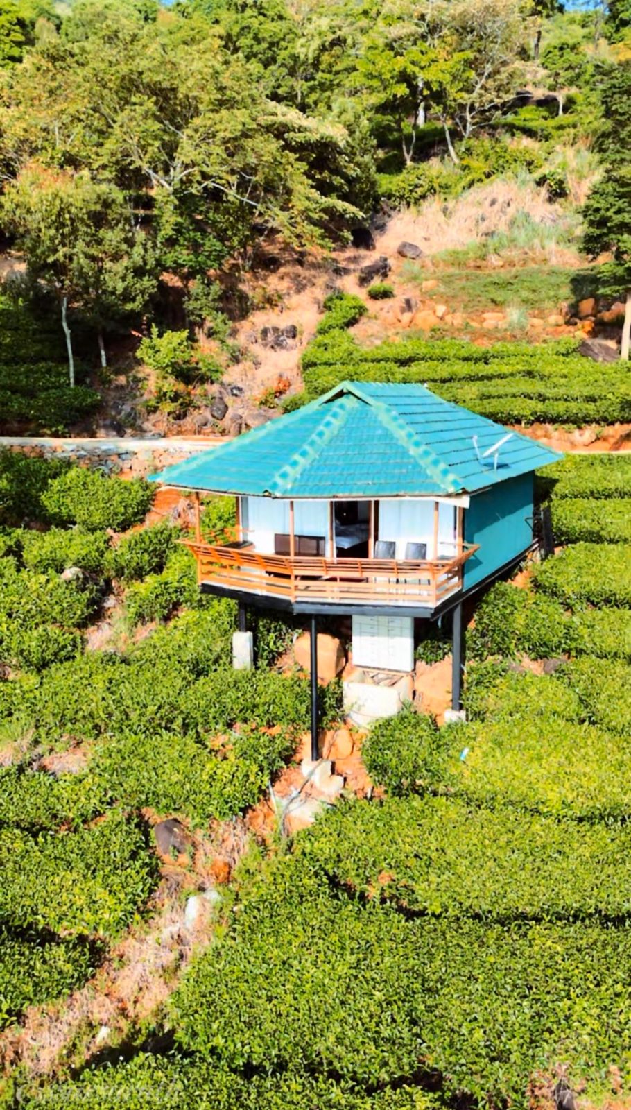 wayanad hotel #67 hill view near muttil, kalpetta (copy) wayanad hotel #67 hill view near muttil, kalpetta (copy)