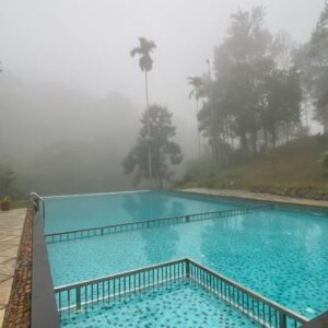Wayanad Whisper 01  Near Kanthanpara Waterfalls, Wayanad