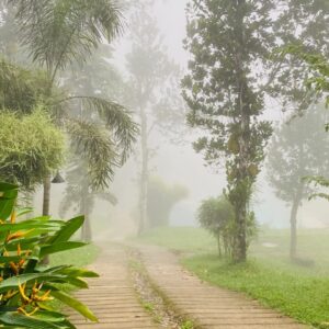 whatsapp image 2025 09 28 at 9.48.17 am