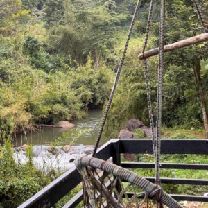 whatsapp image 2025 09 28 at 9.48.19 am (1)