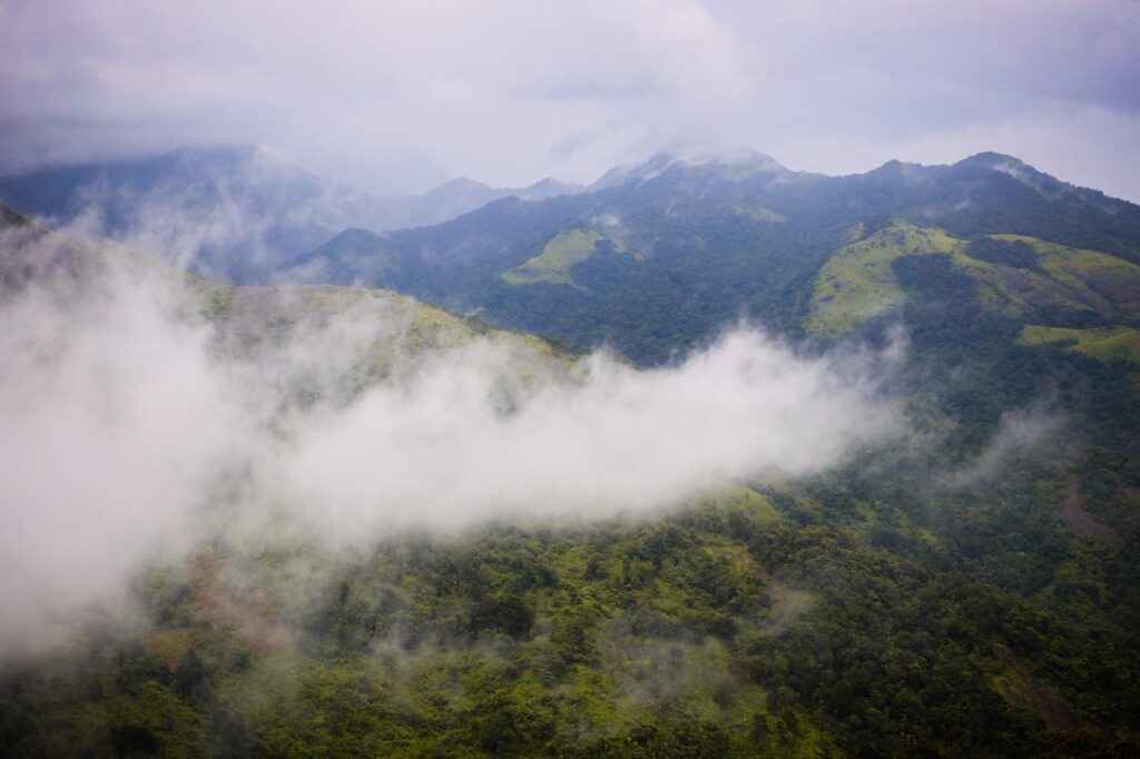 mountain, clouds, nature, trees, forest, fog, scenery, landscape, kerala, wayanad, munnar, wayanad, wayanad, wayanad, wayanad, wayanad, munnar
