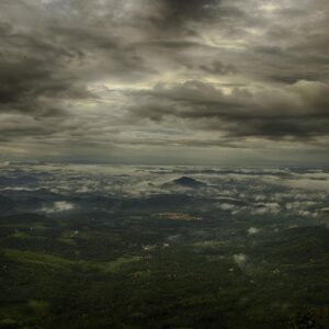 nature, naturephotography, green, outdoor, environment, colorful, kerala, wayanad, wayanad view point, wayanad, wayanad, wayanad, wayanad, wayanad
