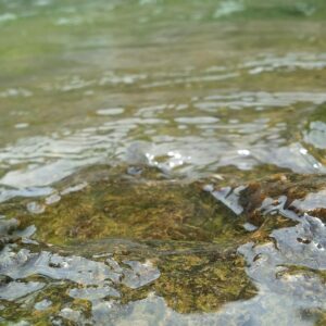 rock, water, waterfall, green, wayanad, nature, stones, wayanad, wayanad, wayanad, wayanad, wayanad
