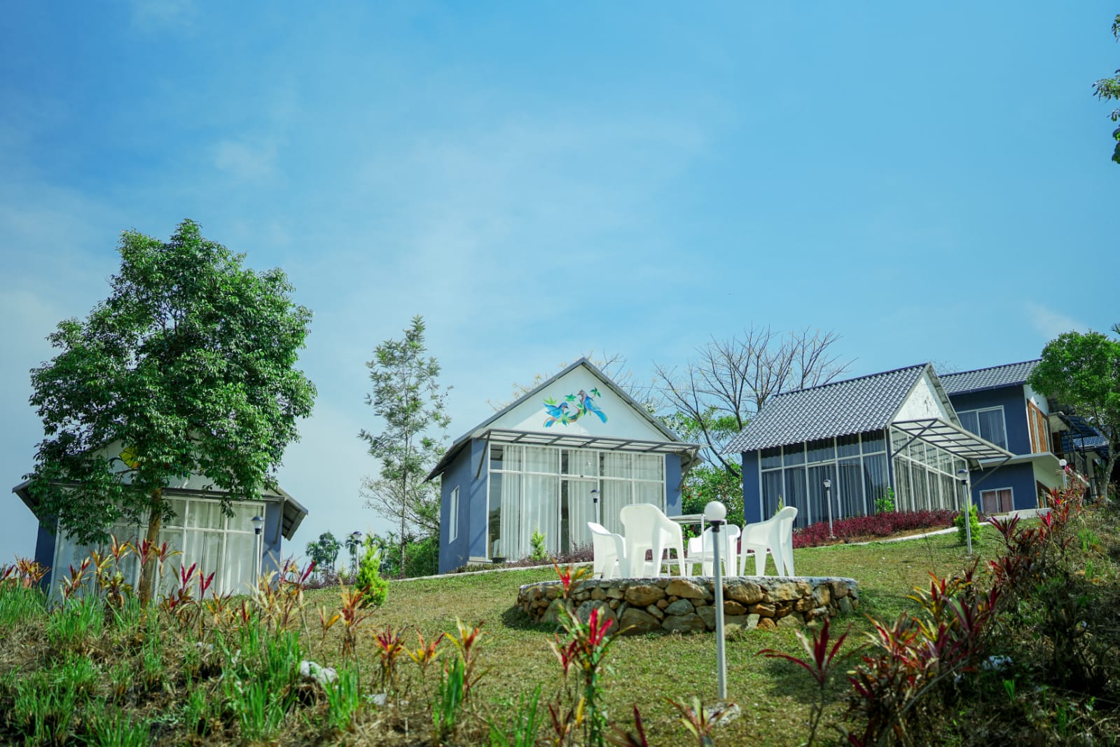 auto draft auto draft