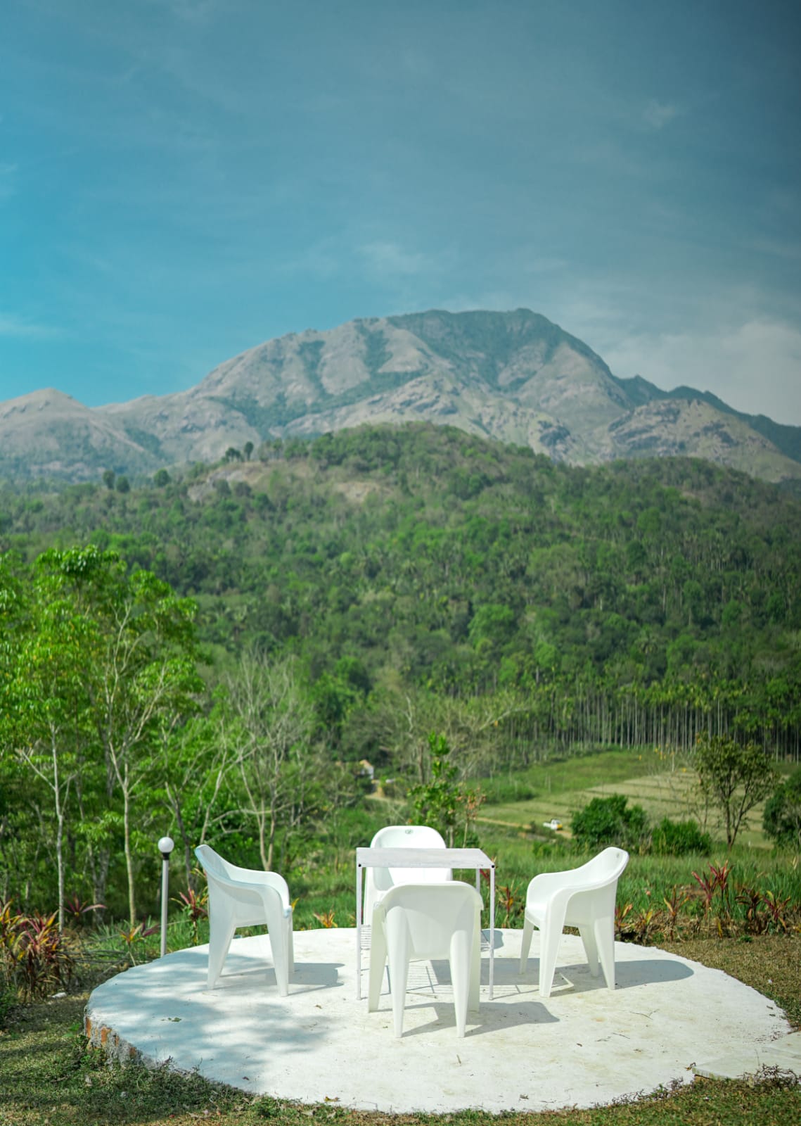 auto draft auto draft