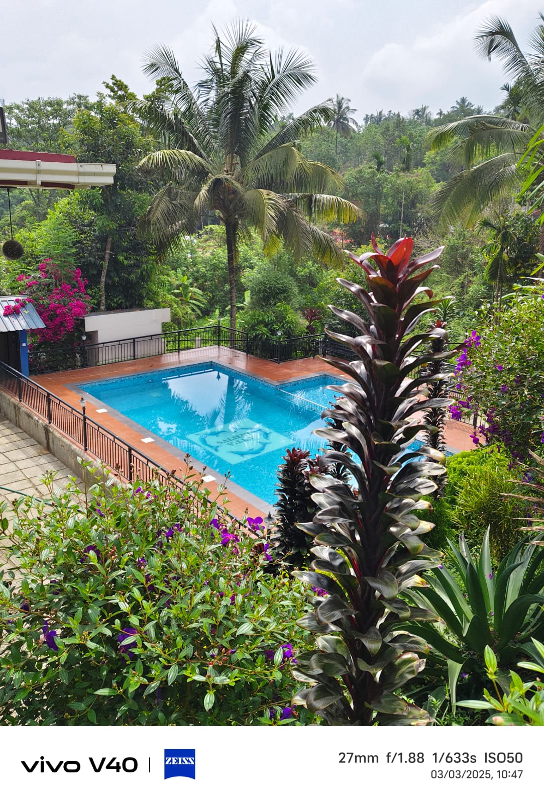 winfo svp padinjarathara winfo svp padinjarathara