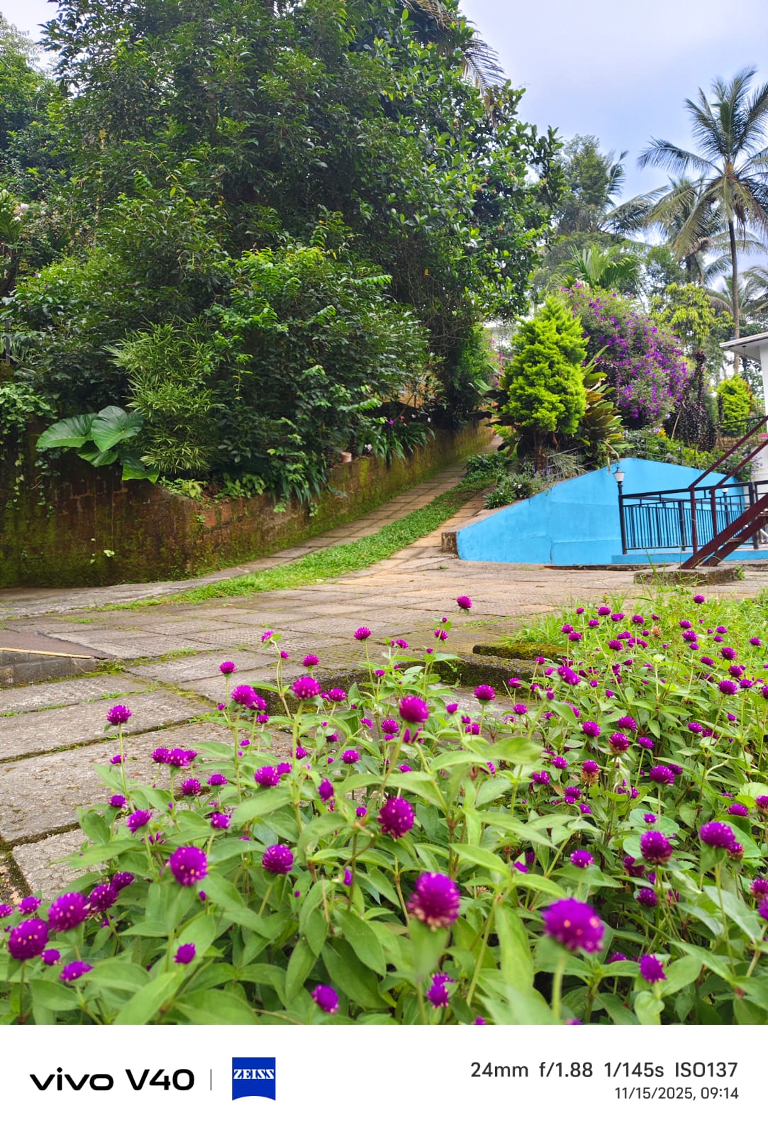 winfo svp padinjarathara winfo svp padinjarathara