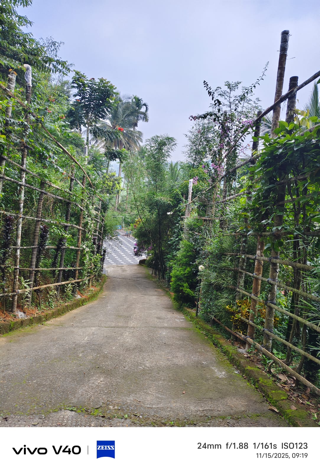 winfo svp padinjarathara winfo svp padinjarathara