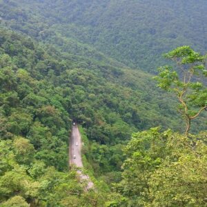 Wayanad’s Tribal Heritage: Visiting the Indigenous Communities