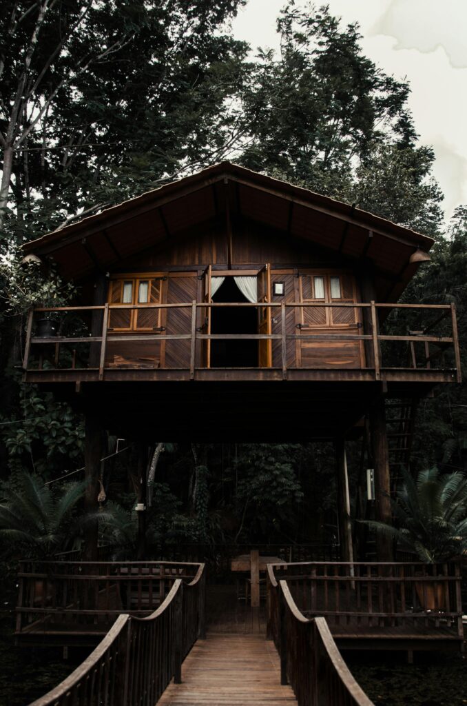 Staying in a Tree House: Wayanad's Unique Accommodations A cozy wooden treehouse nestled among lush forest greenery, perfect for a nature getaway.