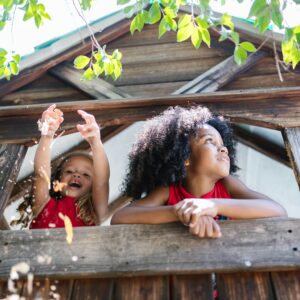 Staying in a Tree House: Wayanad’s Unique Accommodations