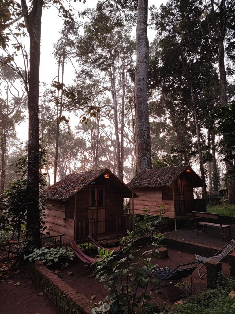 Why Wayanad Resorts Need AI Assistants cover 2605