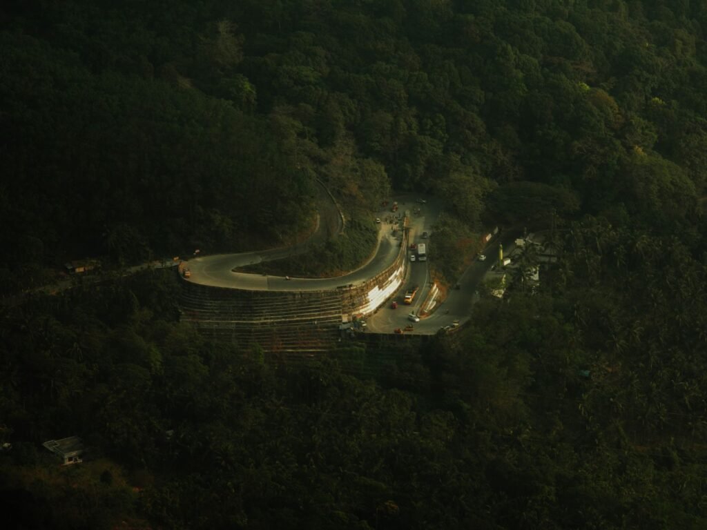 Wayanad Road Trip: Best Route from Kochi and What to Stop For cover 3089