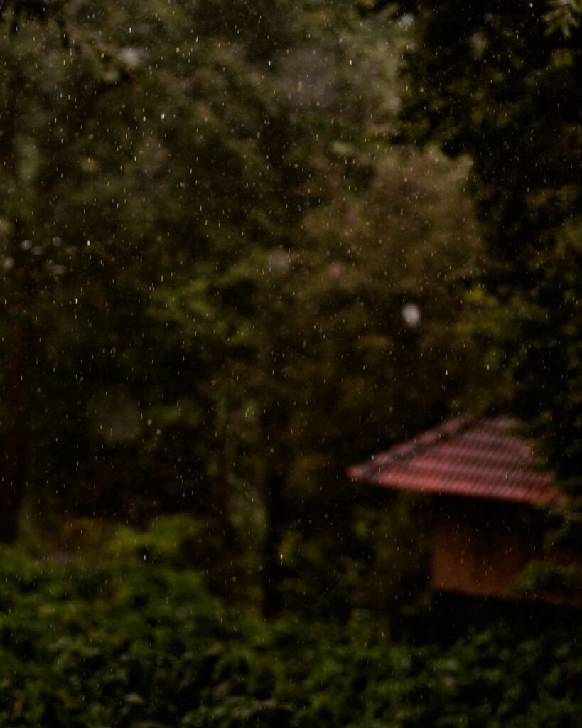 Rainy Season Do's and Don'ts for Wayanad Travelers cover 3512
