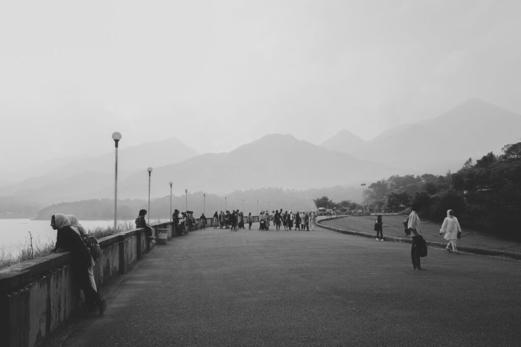Wayanad for Senior Travelers: Comfortable Spots and What to Skip cover 3595
