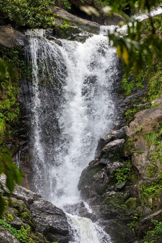 Wayanad's Hidden Waterfalls Most Tourists Miss cover 3679