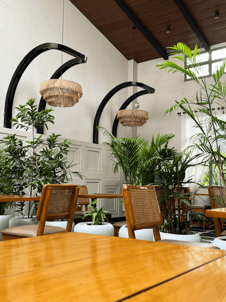 Wayanad's Best Cafes and Where Locals Actually Eat cover 3919